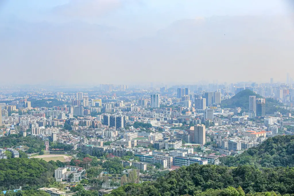 乐山生猪养殖合作社分享：种猪繁育与科学养殖技术要点解析