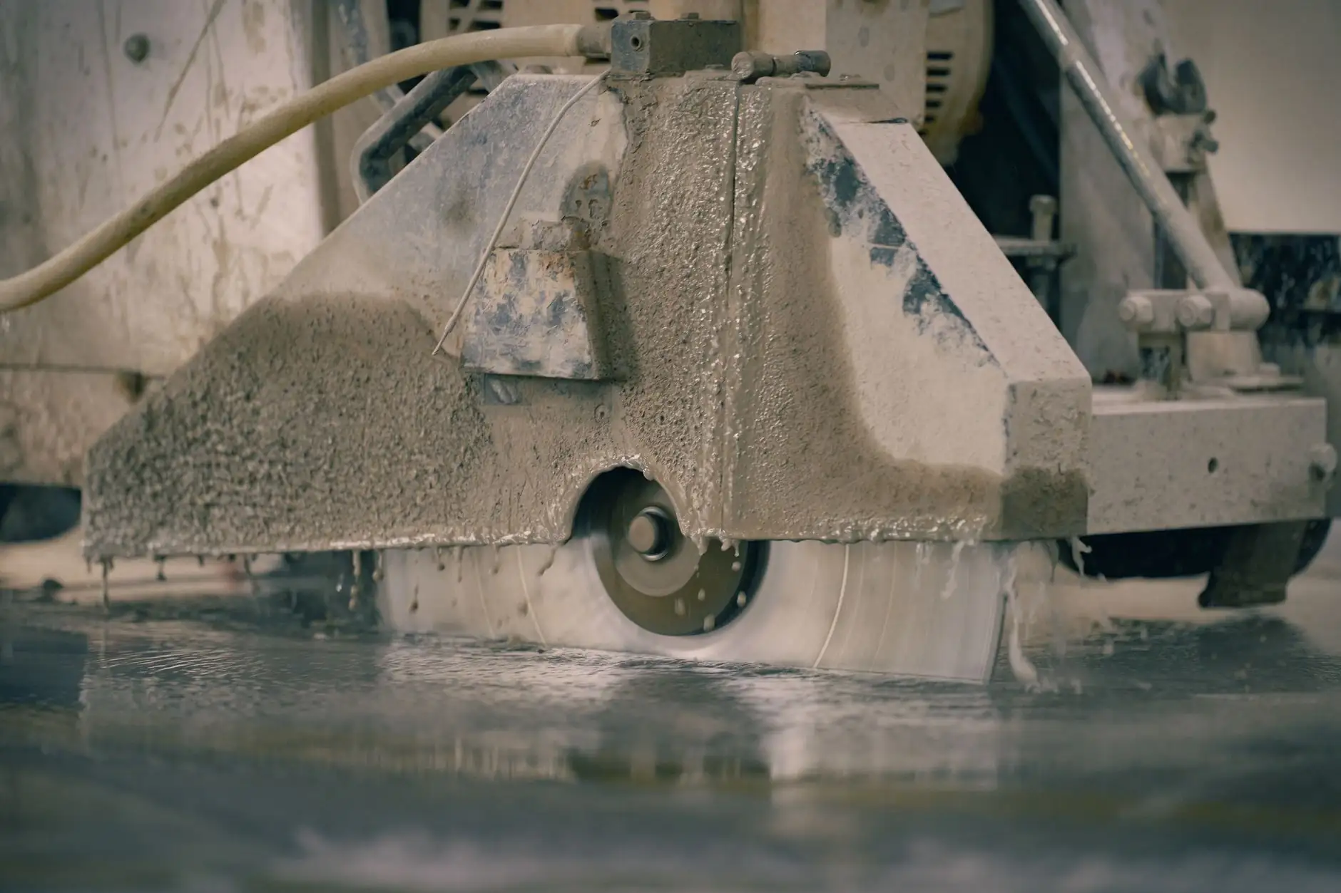 仔猪成活率提升实用方案：从母猪围产期到断奶管理全解析