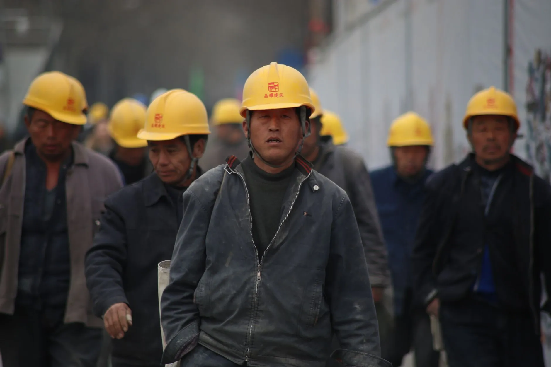 乐山地区种猪繁育技术要点与养殖效益提升方案