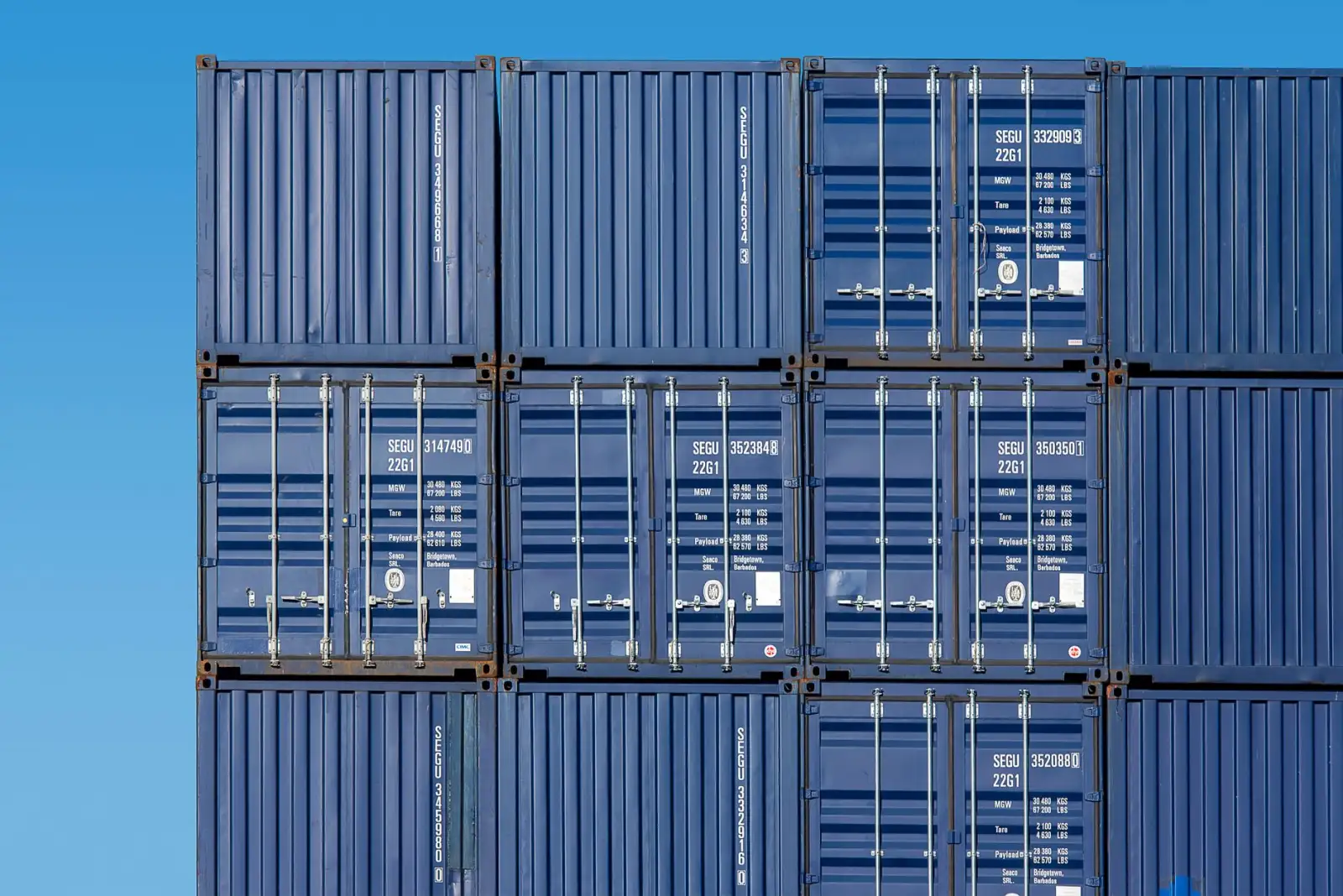乐山地区生猪养殖技术要点与仔猪成活率提升方案封面图