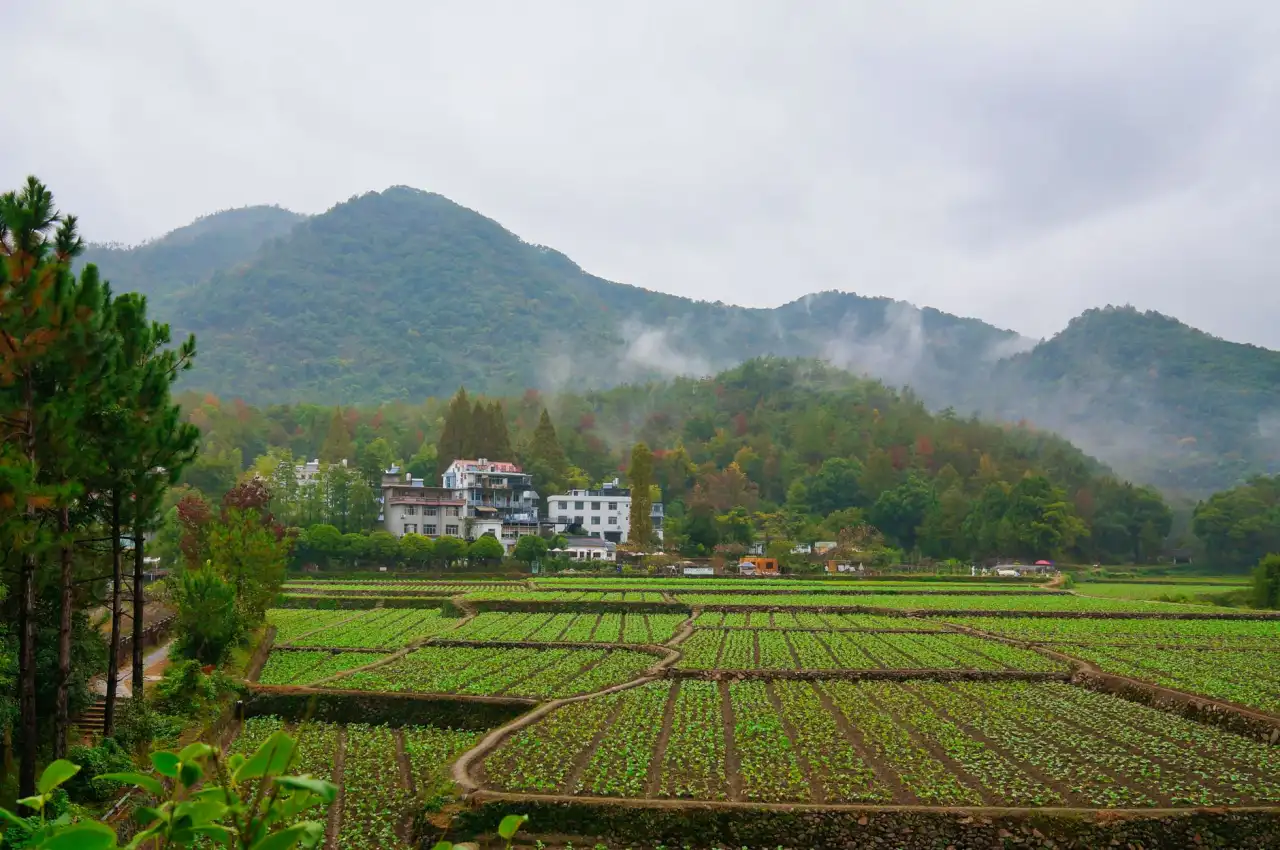 乐山地区种猪繁育技术要点及公义合作社选育实践