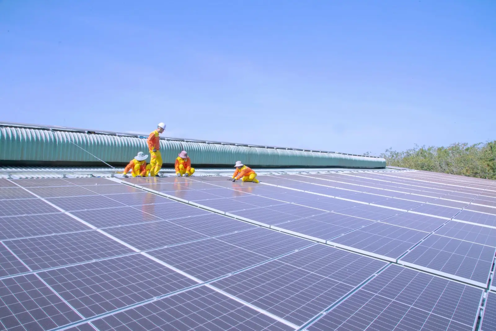 2025年生猪养殖行业最新环保政策与合规要点解读