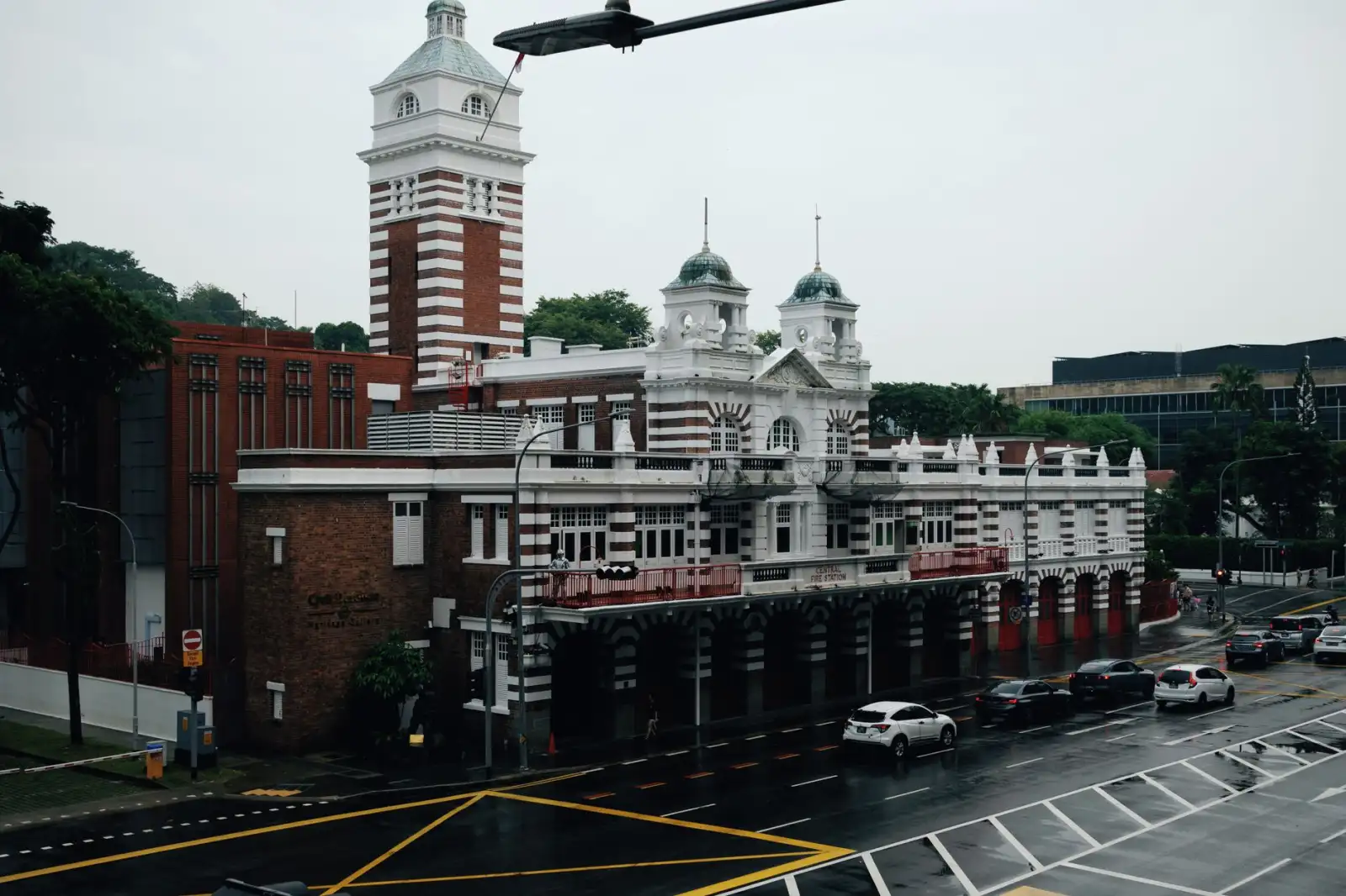 乐山地区公义种猪繁育技术优势与品种特性详解