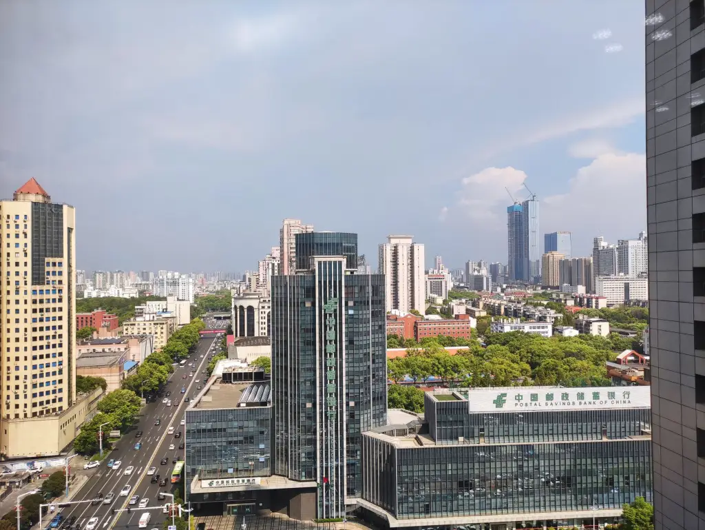科学养殖技术助力乐山畜牧业：优质种猪与仔猪产品对比分析